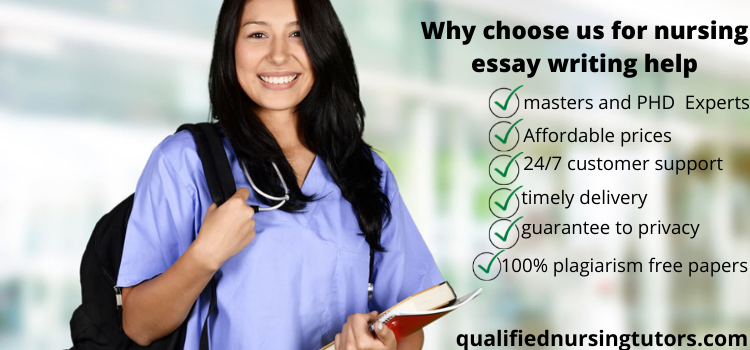 best online nursing essay writing help website