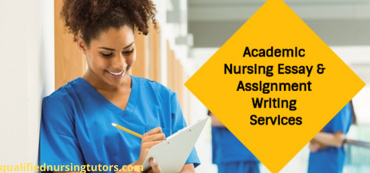 affordable nursing writing company