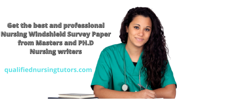 Nursing Windshield Survey Paper